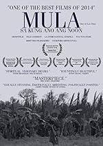 Cover image of the movie From What Is Before