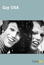 Cover image of the movie Gay USA