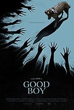 Cover image of the movie Good Boy