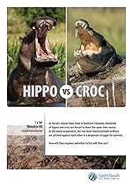 Cover image of the movie Hippo vs Croc