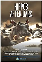 Cover image of the movie Hippos After Dark