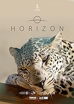 Cover image of the movie Horizon