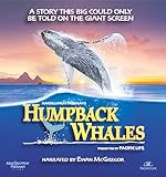 Cover image of the movie Humpback Whales