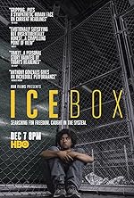 Cover image of the movie Icebox