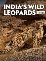 Cover image of the movie India's Wild Leopards