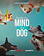 Cover image of the movie Inside the Mind of a Dog