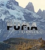 Cover image of the movie Into the Puma Triangle