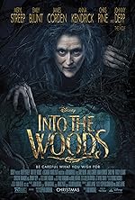 Cover image of the movie Into the Woods