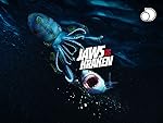 Cover image of the movie Jaws vs. Kraken