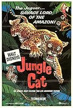 Cover image of the movie Jungle Cat