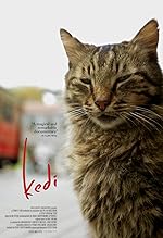 Cover image of the movie Kedi