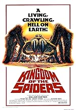 Cover image of the movie Kingdom of the Spiders