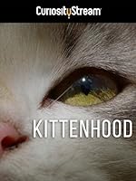 Cover image of the movie Kittenhood