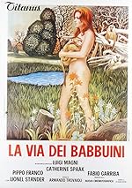 Cover image of the movie La via dei babbuini