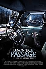 Cover image of the movie Lemon Tree Passage