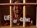Cover image of the movie Life of Crime 2