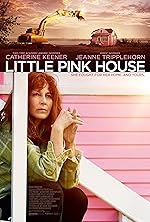 Cover image of the movie Little Pink House