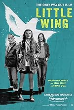 Cover image of the movie Little Wing