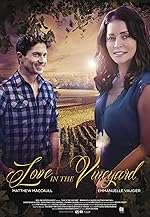 Cover image of the movie Love in the Vineyard