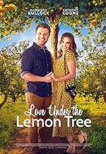 Cover image of the movie Love Under the Lemon Tree