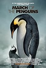 Cover image of the movie March of the Penguins