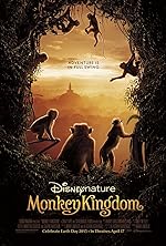 Cover image of the movie Monkey Kingdom