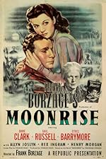 Cover image of the movie Moonrise