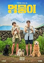 Cover image of the movie My Heart Puppy