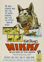 Cover image of the movie Nikki, Wild Dog of the North