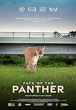 Cover image of the movie Path of the Panther