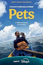 Cover image of the movie Pets