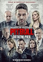 Cover image of the movie Pitbull. Ostatni Pies