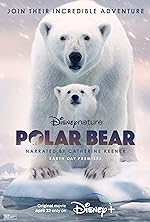 Cover image of the movie Polar Bear