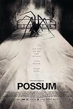 Cover image of the movie Possum