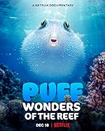 Cover image of the movie Puff: Wonders of the Reef