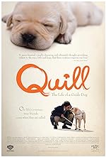 Cover image of the movie Quill: The Life of a Guide Dog