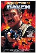 Cover image of the movie Raven