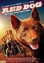 Cover image of the movie Red Dog