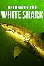 Cover image of the movie Return of the White Shark