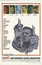 Cover image of the movie Riot