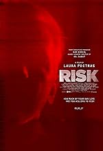 Cover image of the movie Risk