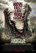 Cover image of the movie Rogue