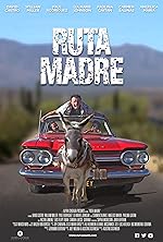 Cover image of the movie Ruta Madre