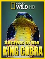 Cover image of the movie Secrets of the King Cobra