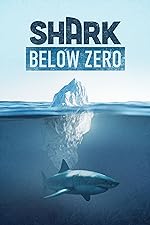 Cover image of the movie Shark Below Zero