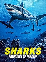 Cover image of the movie Sharks: Predators of the Deep