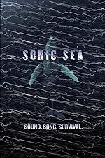 Cover image of the movie Sonic Sea