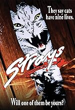 Cover image of the movie Strays