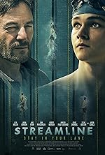 Cover image of the movie Streamline