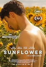 Cover image of the movie Sunflower